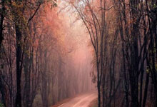 女孩高考288分是带货剧本？抖音回应